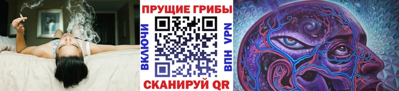 Галлюциногенные грибы прущие грибы  Купить где  Краснознаменск 