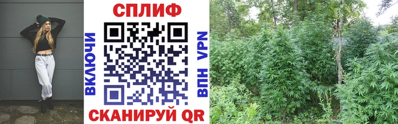 Марихуана Bruce Banner Купить Краснознаменск